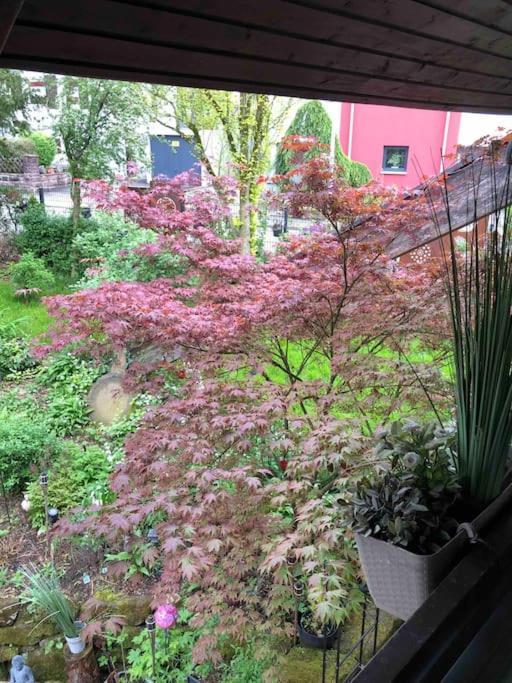 Willkommen Im Casa Felice, Der Wohlfuehl Oase Mit Balkon, 4 Betten Und Homeoffice Platz Aidlingen Ngoại thất bức ảnh